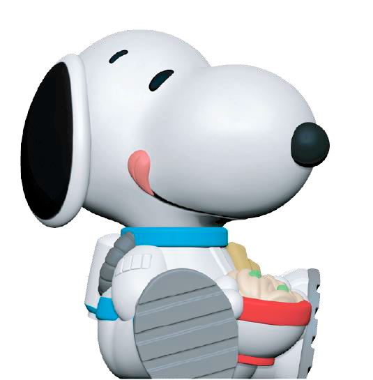 Rokimoto Toy Cup: Peanuts Charlie Brown - Figura Sorpresa